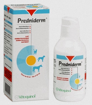 prednisolone